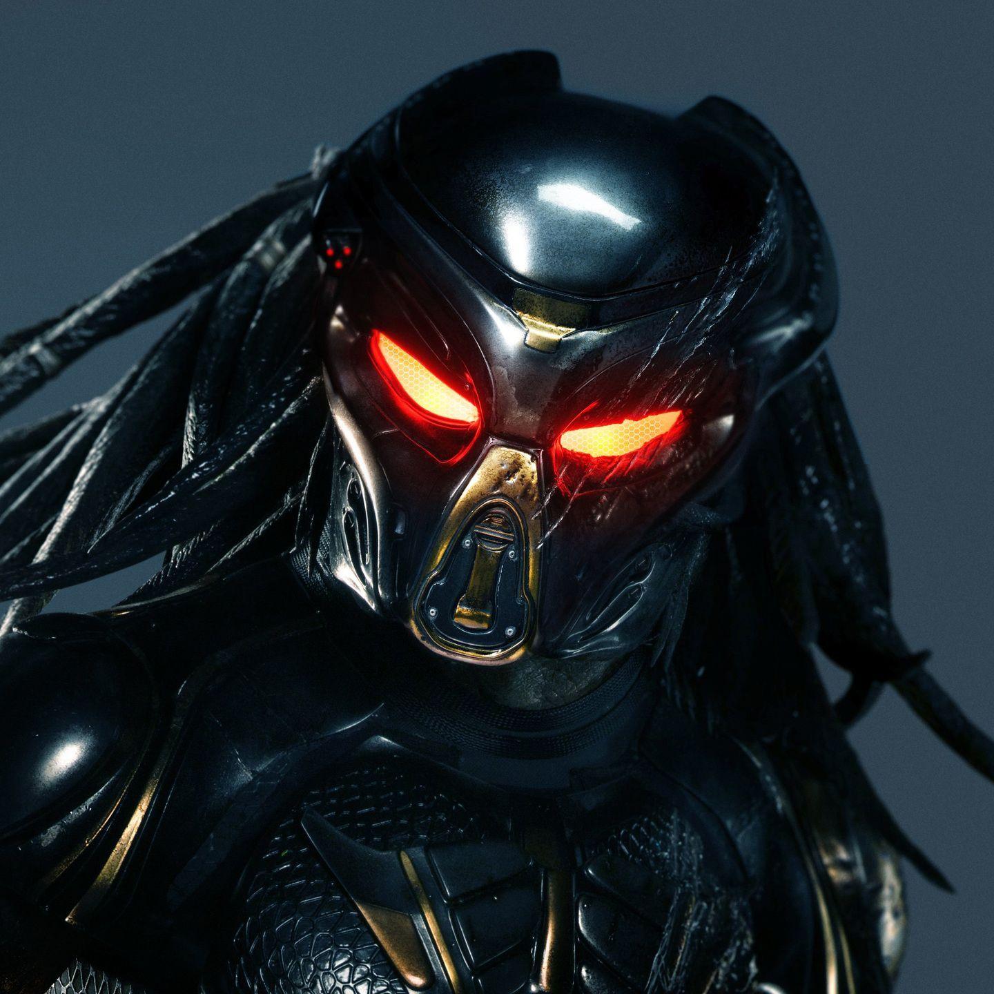 Player Predator__11 avatar