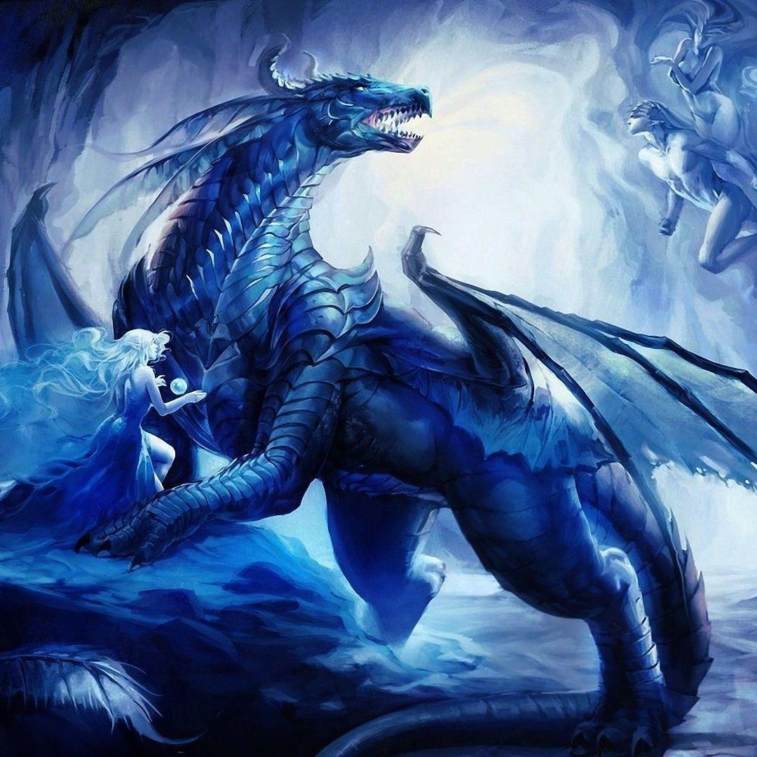 DragoN3169 avatar