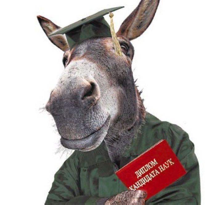 Podoonok avatar