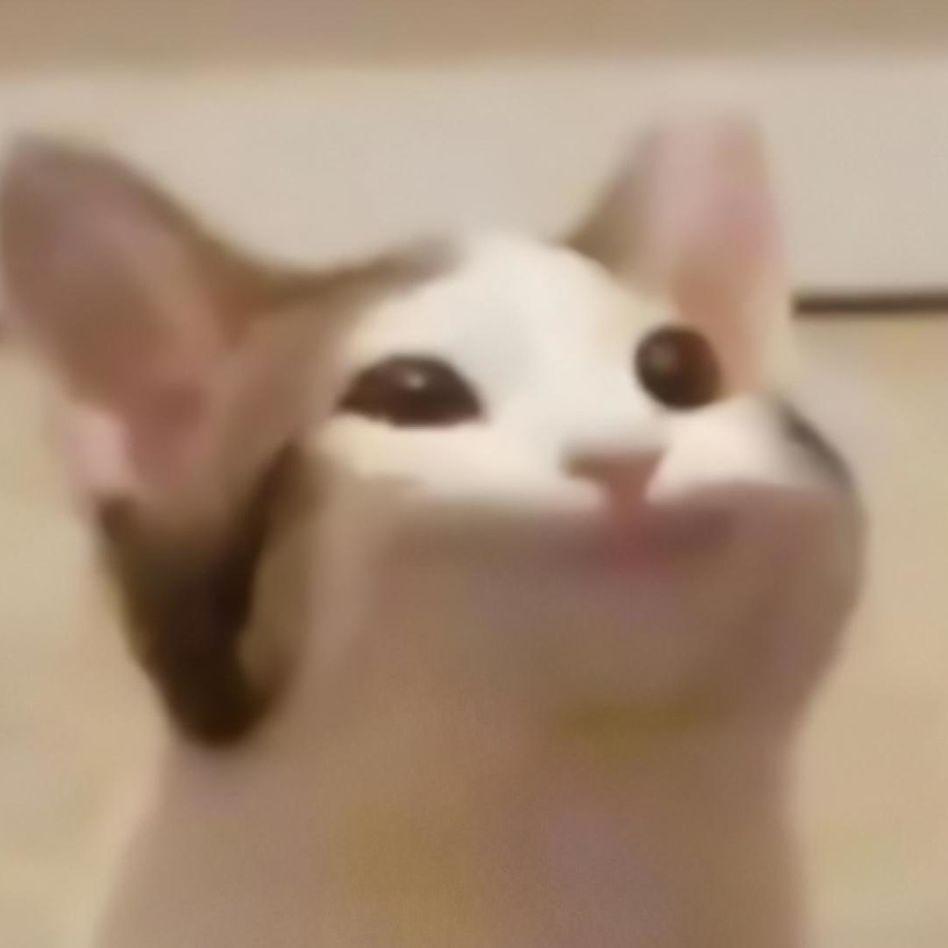 nonstopryan avatar