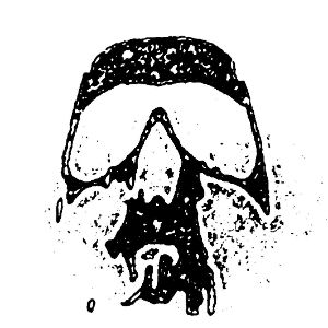 Faceit profile picture for @studded