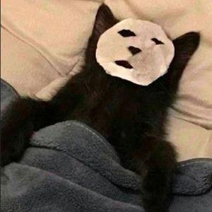 lampo4ka__ avatar