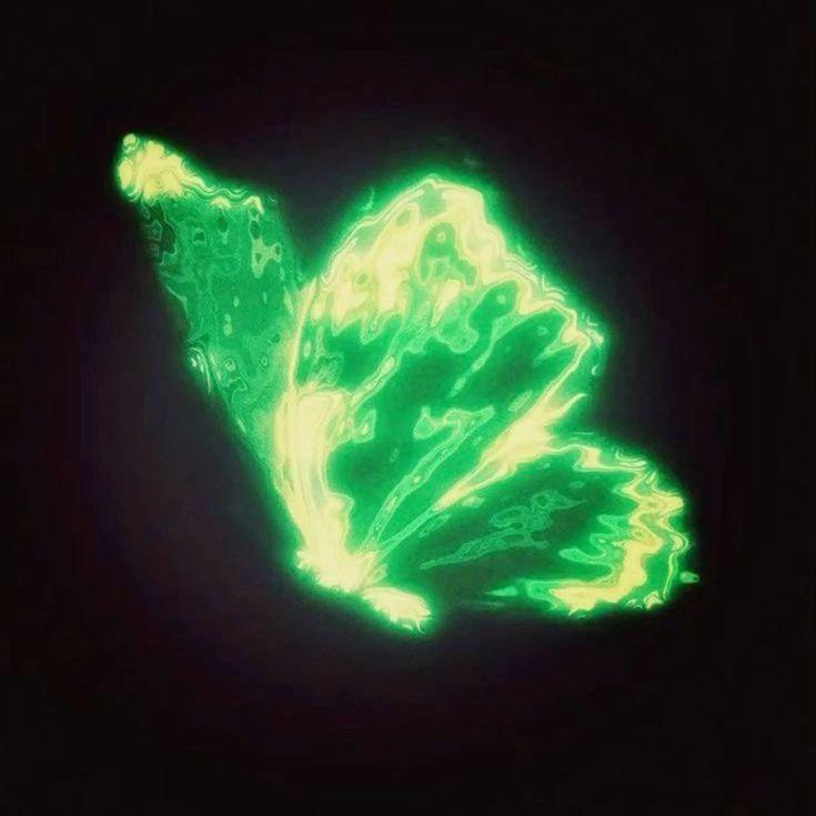 NNfilcy avatar