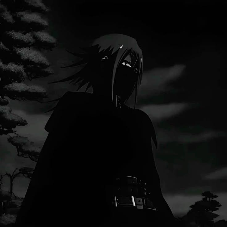 sajdx avatar