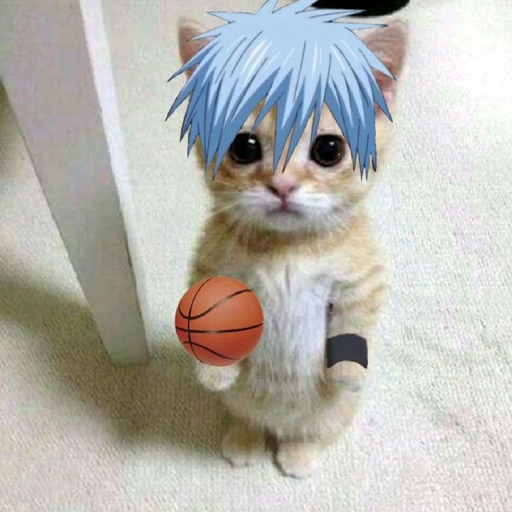 akucu avatar