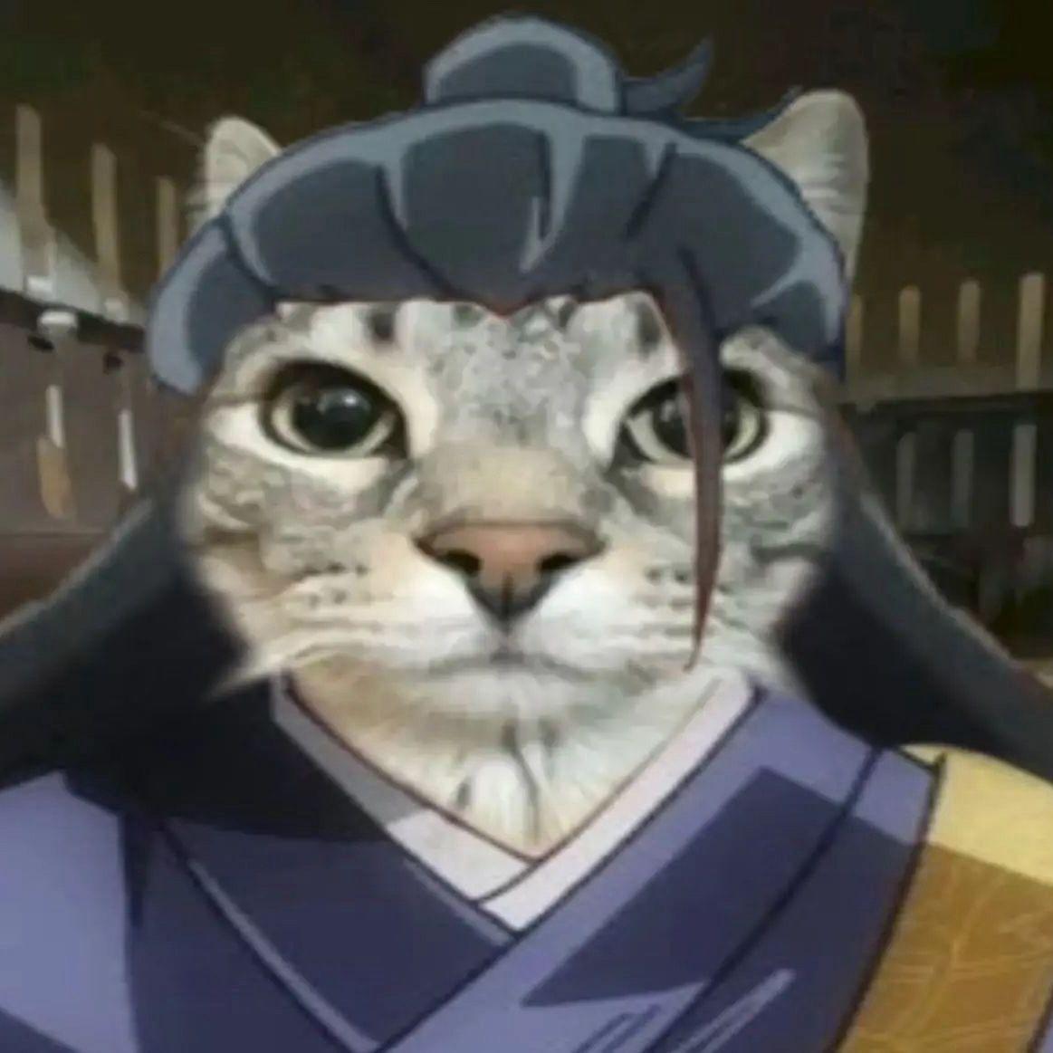 k1shr_ avatar