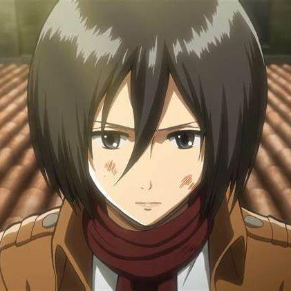 Mikasa0XS avatar