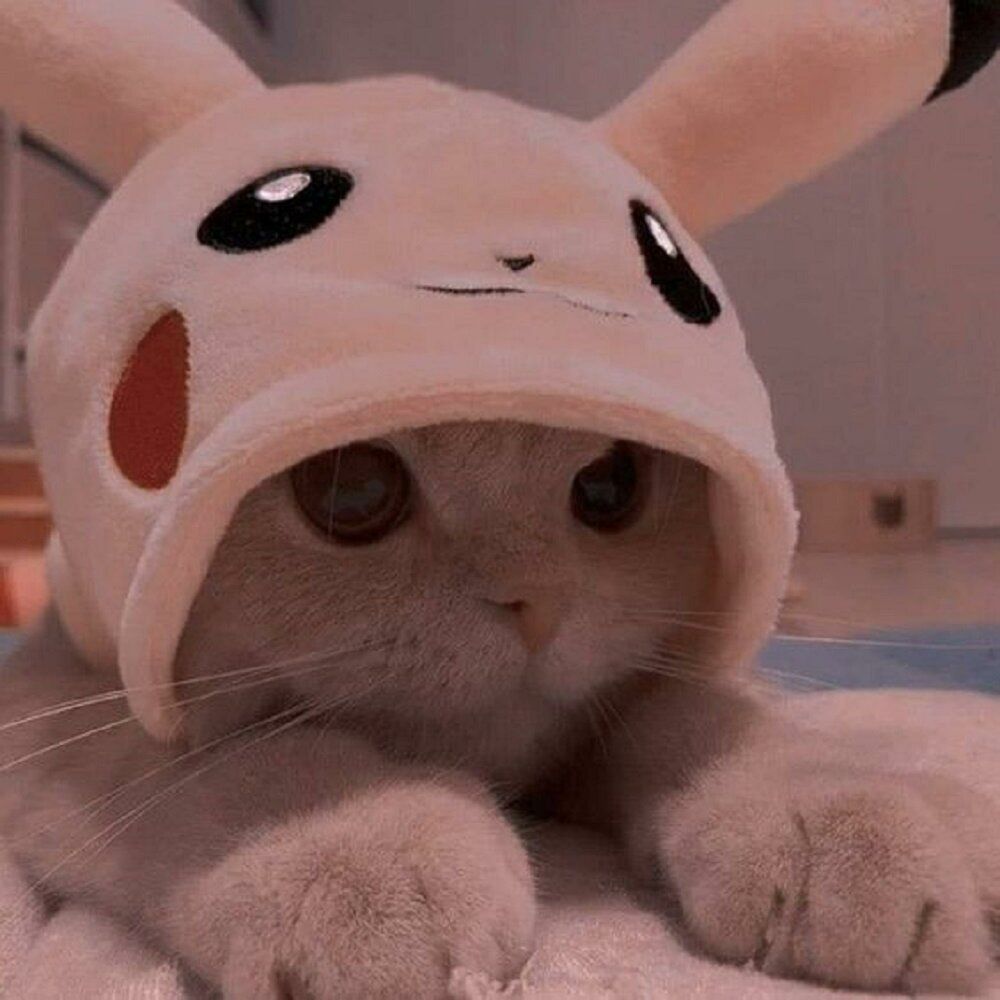 mokrosnolp