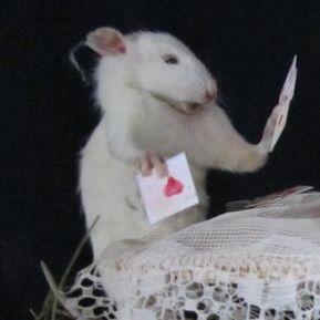 Terrigans avatar