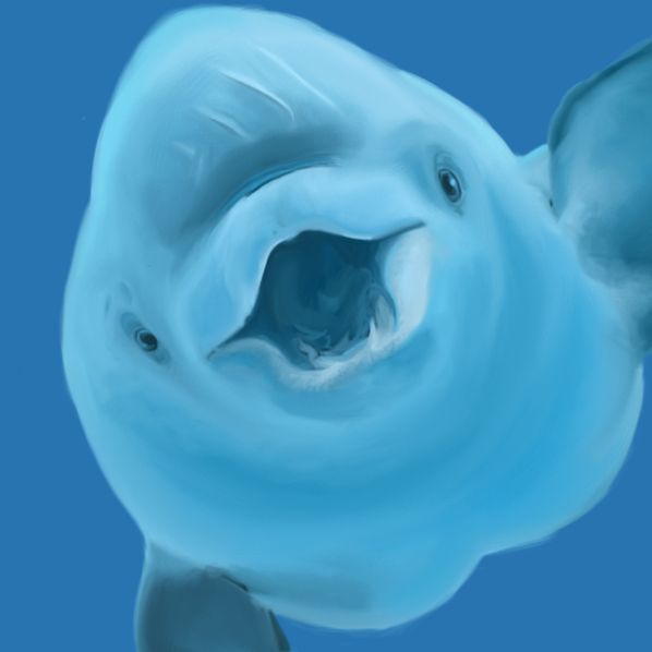 wet_whale FACEIT avatar