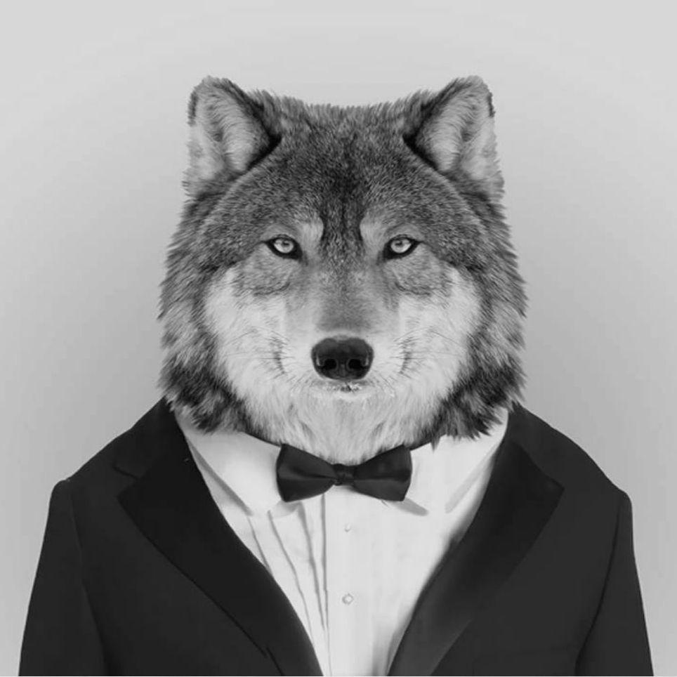 kazahaldik avatar