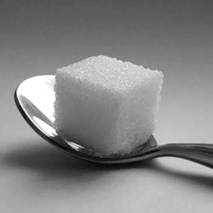 SugarBit