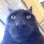 dangerstyl3 avatar