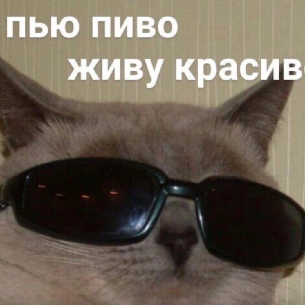 aayssa_ avatar