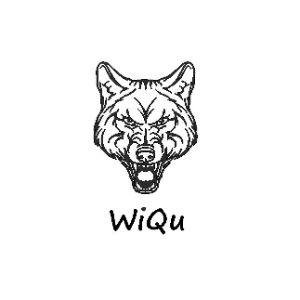 WiQu28 avatar