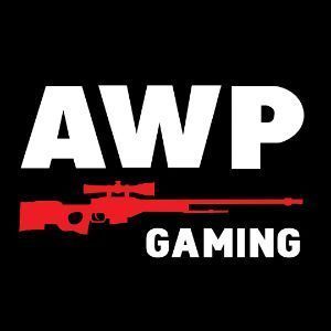 Awp Gamingfk