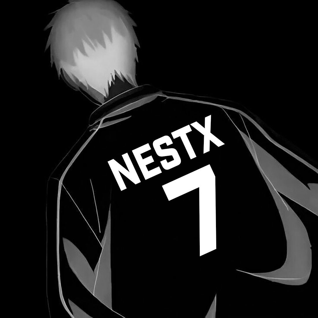 NESTX