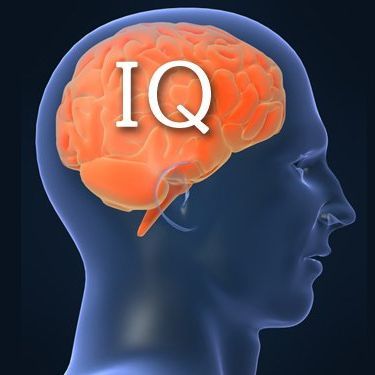 100fps300iq