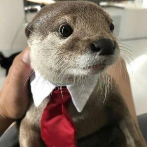 Snrubb avatar