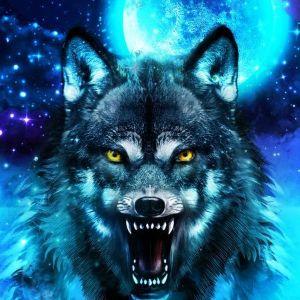 ZonaSumraka avatar