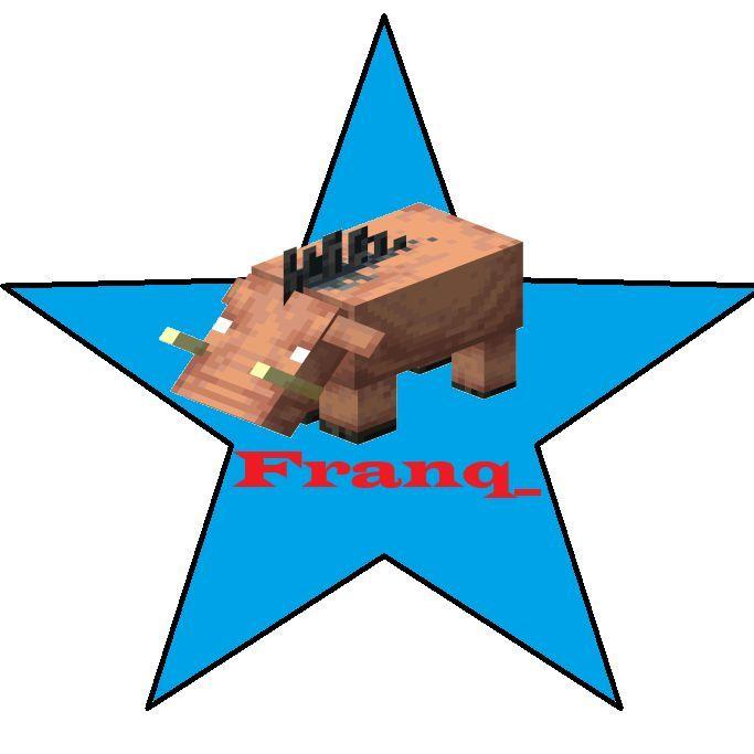 Player FRANQ_ avatar