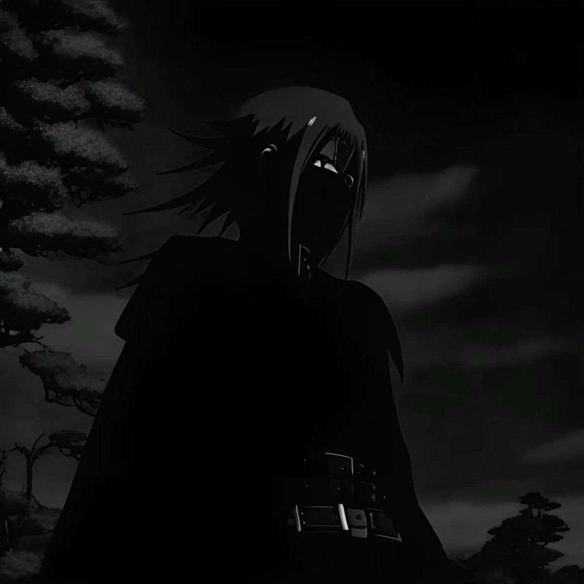quitqwe avatar