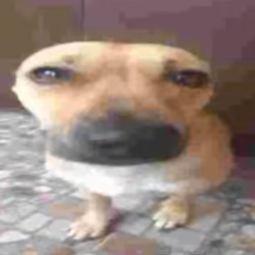 smazxcer avatar