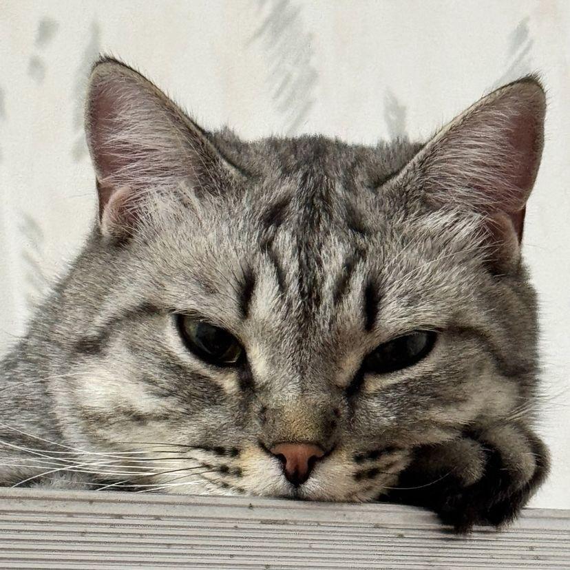 mNNNNNN000
