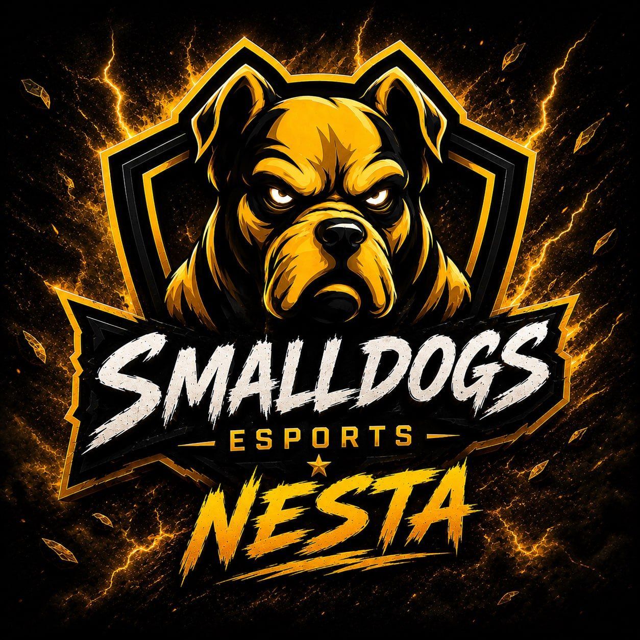NEOMECHANICA FACEIT avatar
