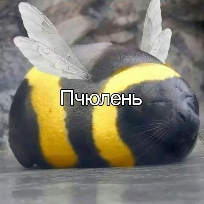 yntyma avatar
