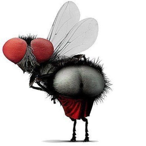 kmzyk avatar