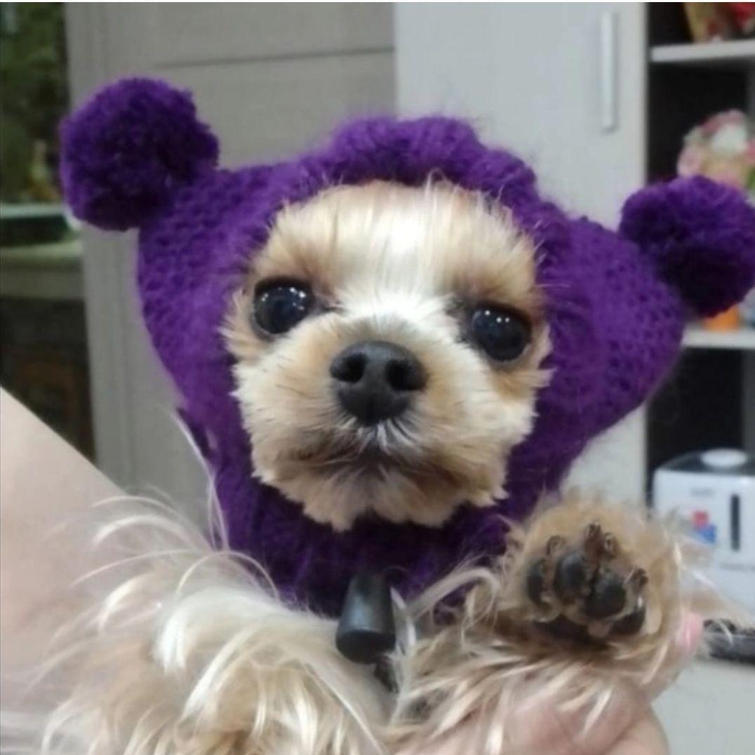 Laverzy7 avatar