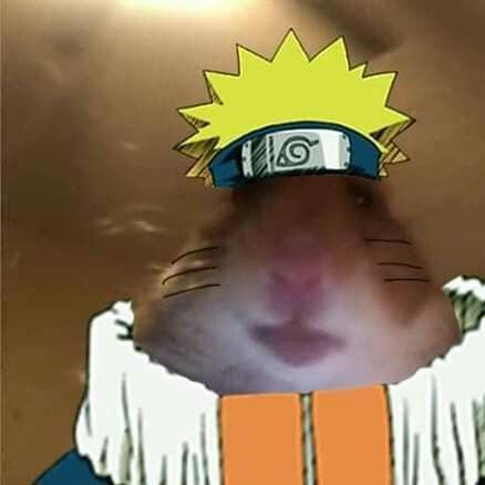 Cen9KND