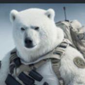 Mister_bear1