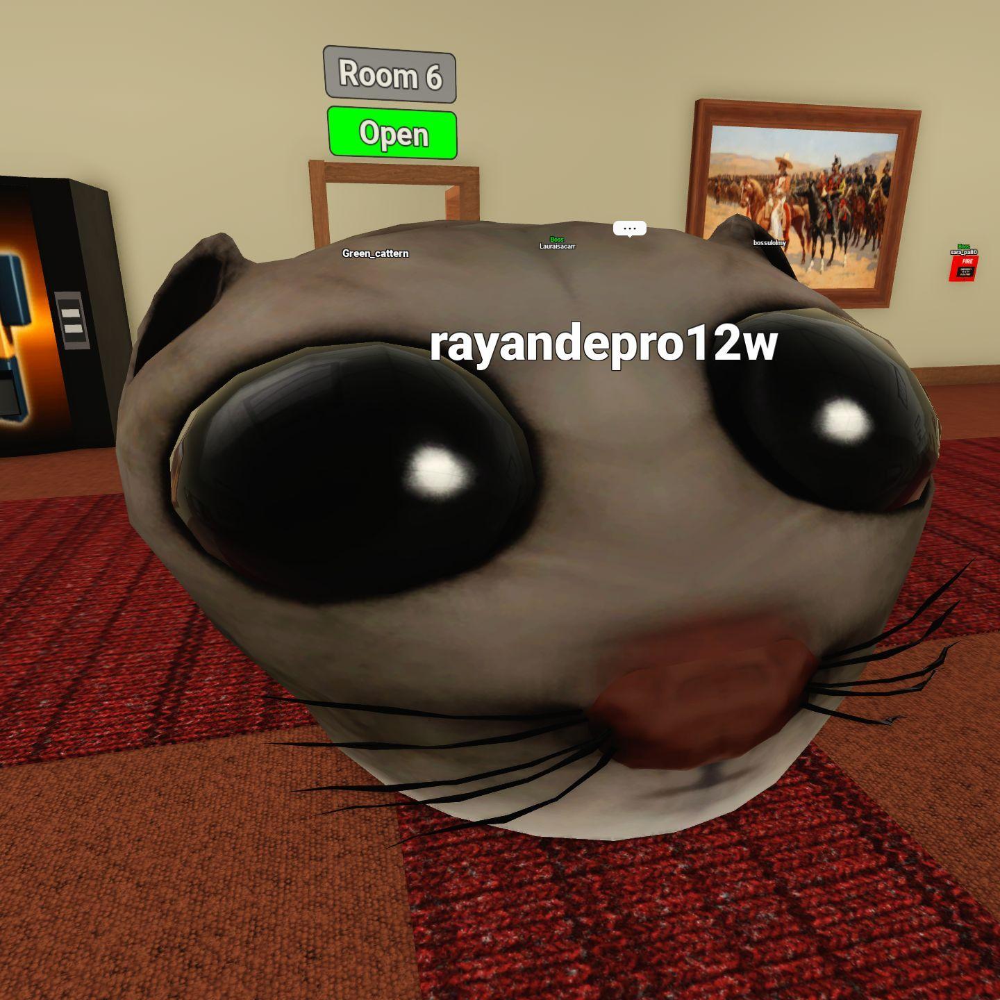 Bita77