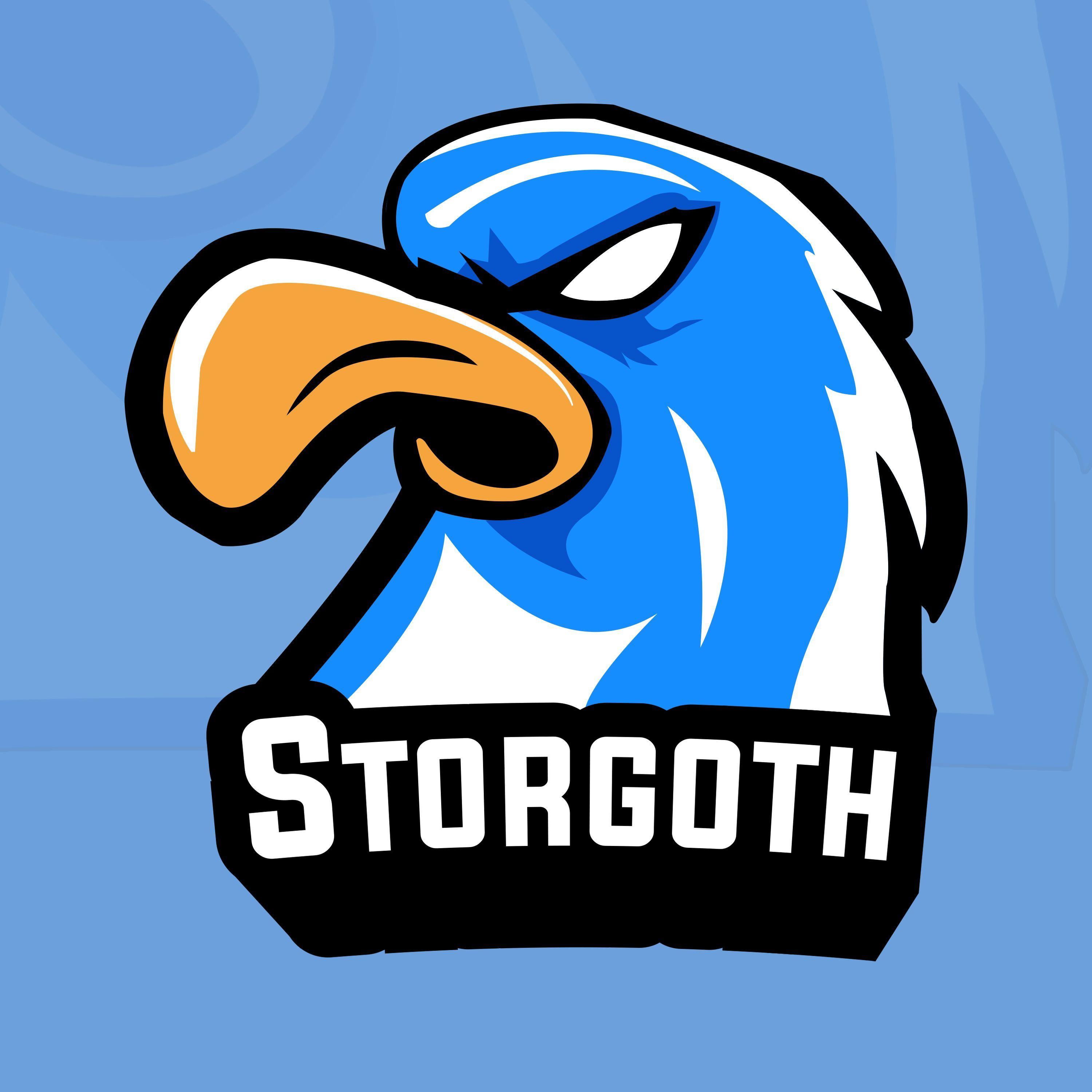 Player Storgoth avatar