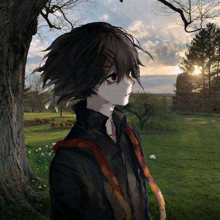 saeee666 avatar