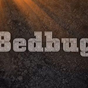 Bedbug_ avatar