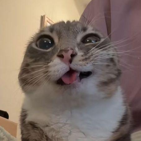 AHYENI avatar
