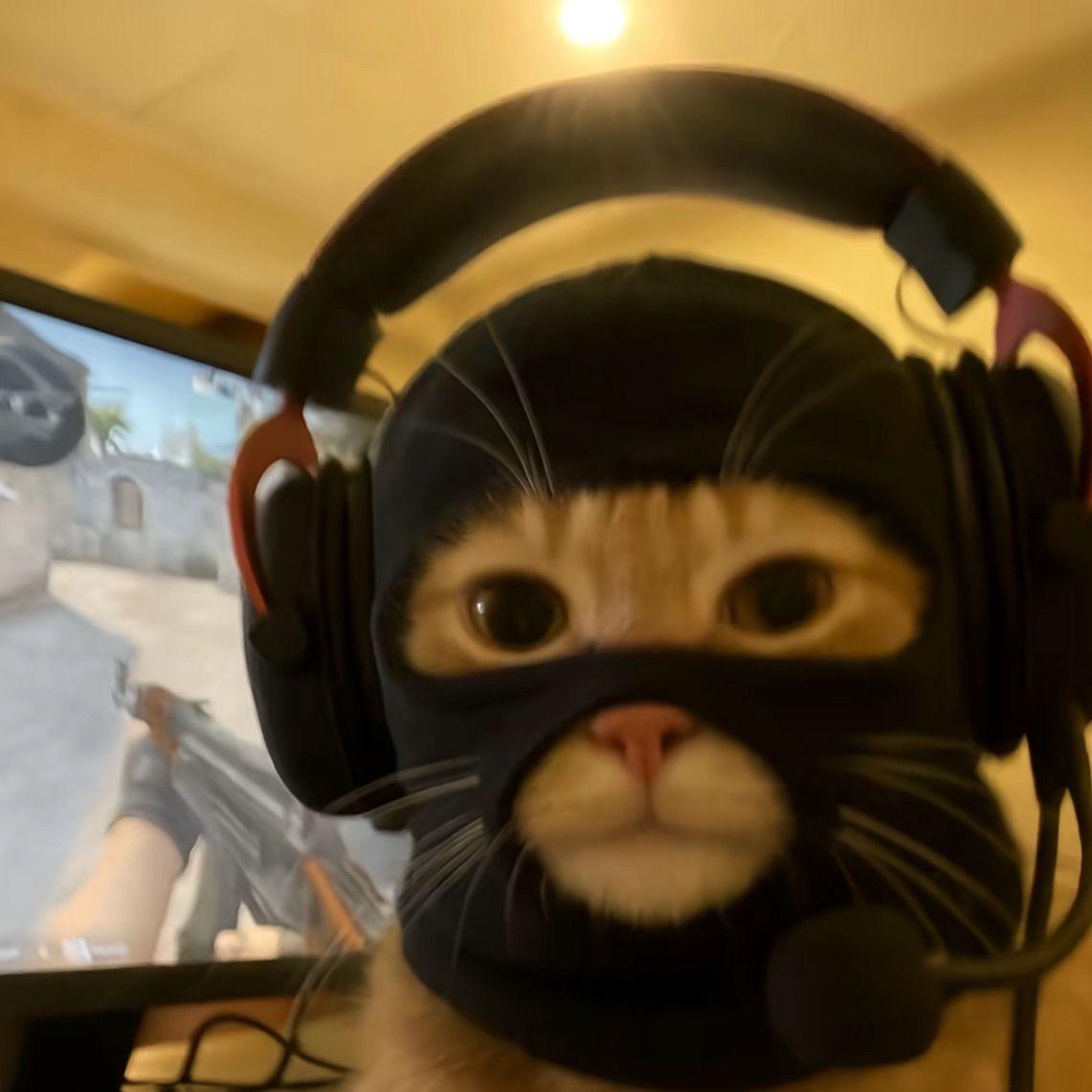 bartoszLP avatar