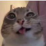 j0hnnyq avatar