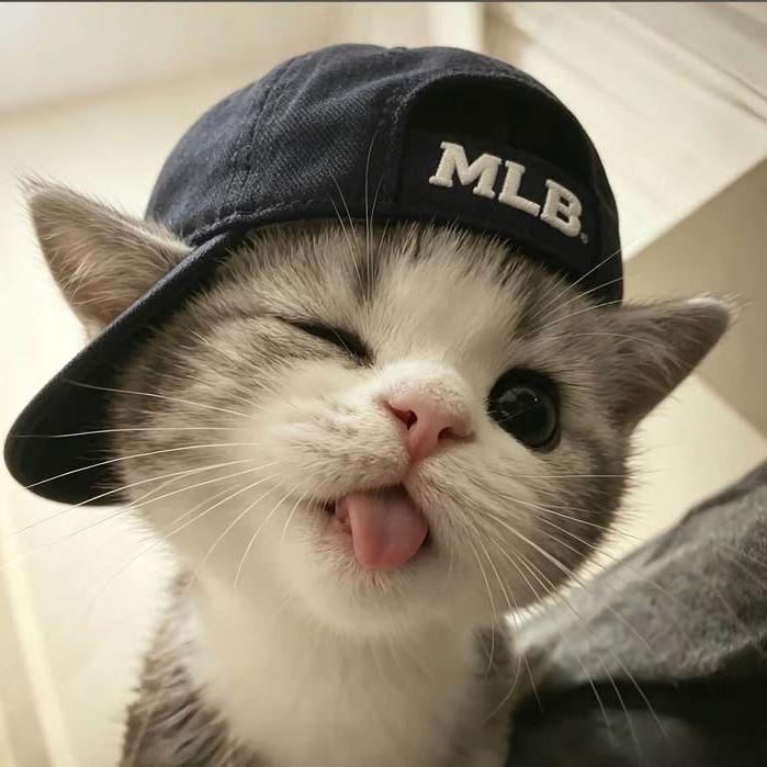 honko FACEIT avatar