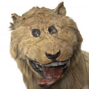 Aslan-