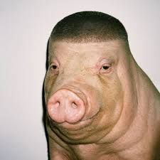 proN__