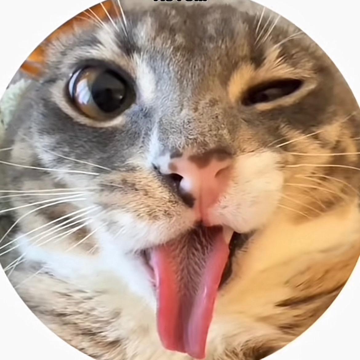 dik0W avatar
