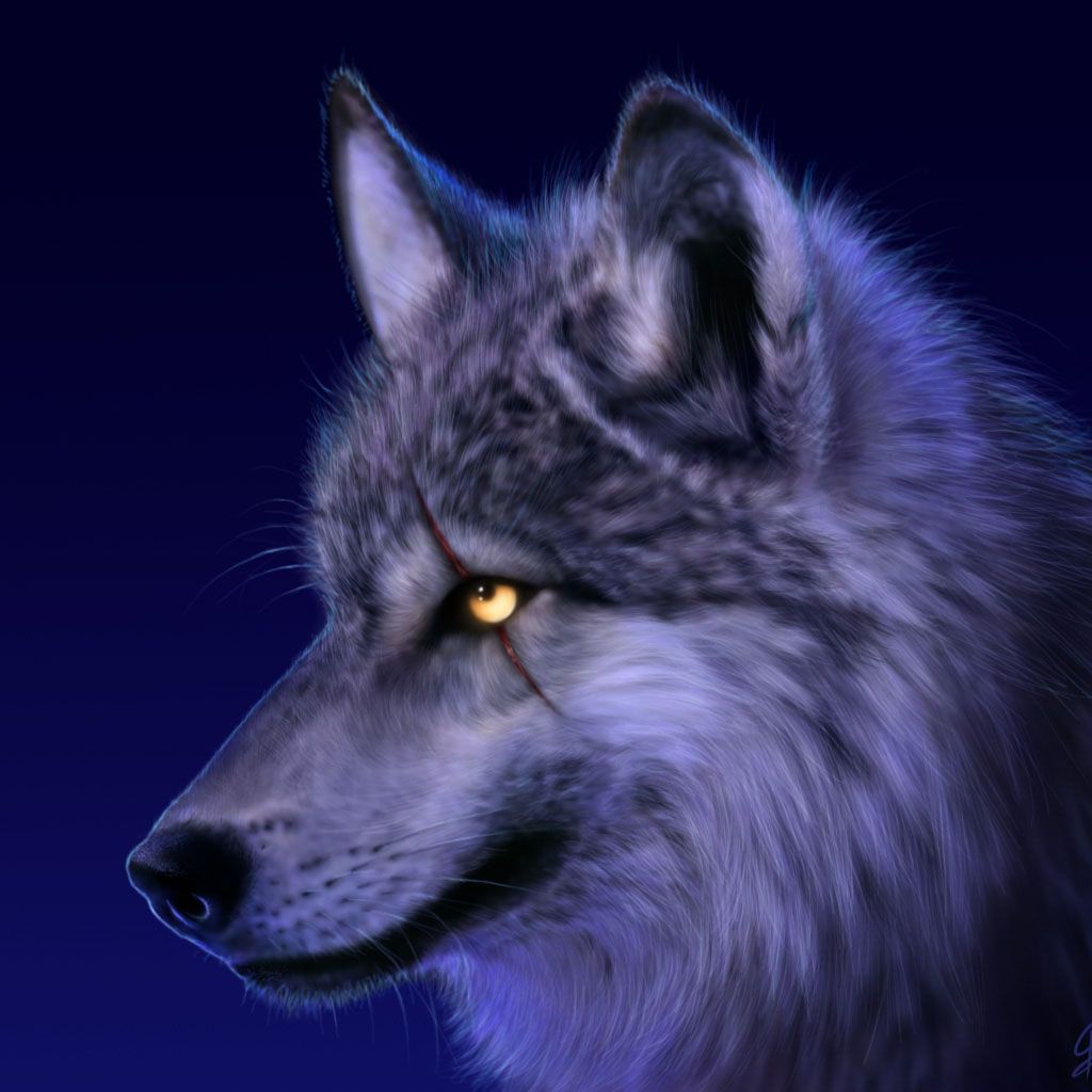 L6esh avatar