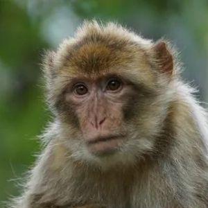 XYIMYTNIJ avatar
