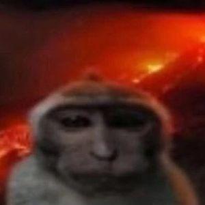 Radogor avatar