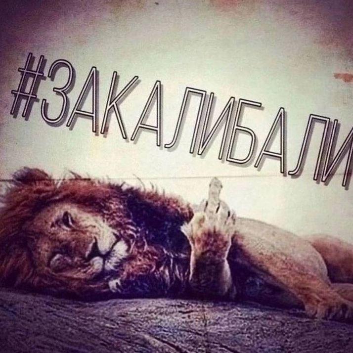 Mamke_Qy avatar
