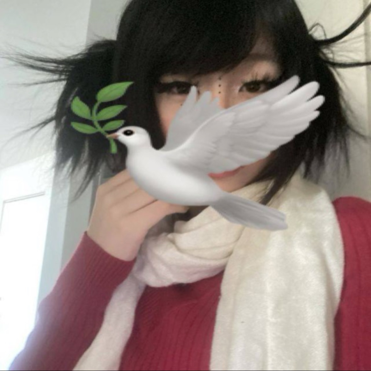KoPoJlb_KC